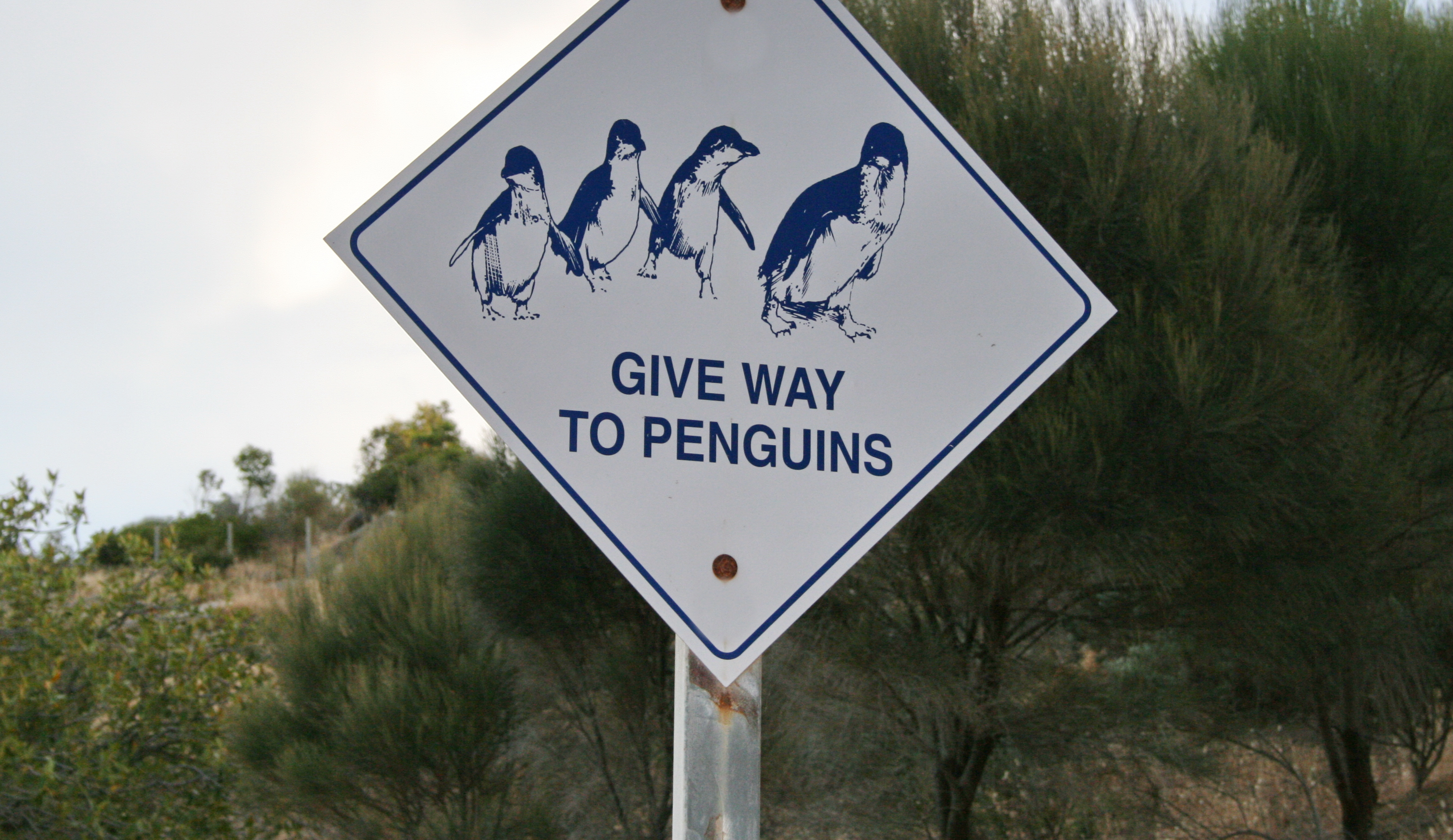 The Road to Conservation – Australian Wildlife Signs