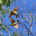 Rainbow Bee-eaters flying&nbsp;off