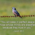 You will keep in perfect peace&nbsp;(2)